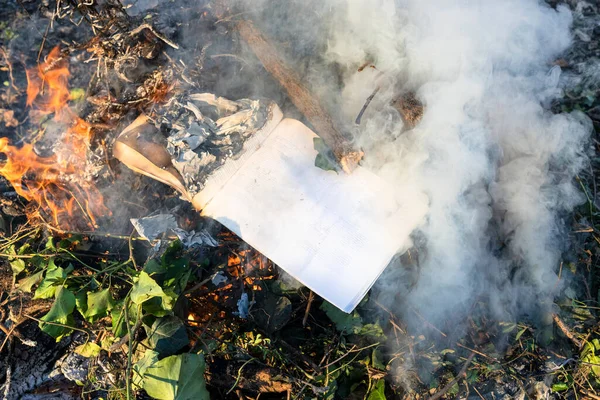Güneşli bir günde, kır bahçesindeki budanmış dalların üzerinde kitap yakmak.