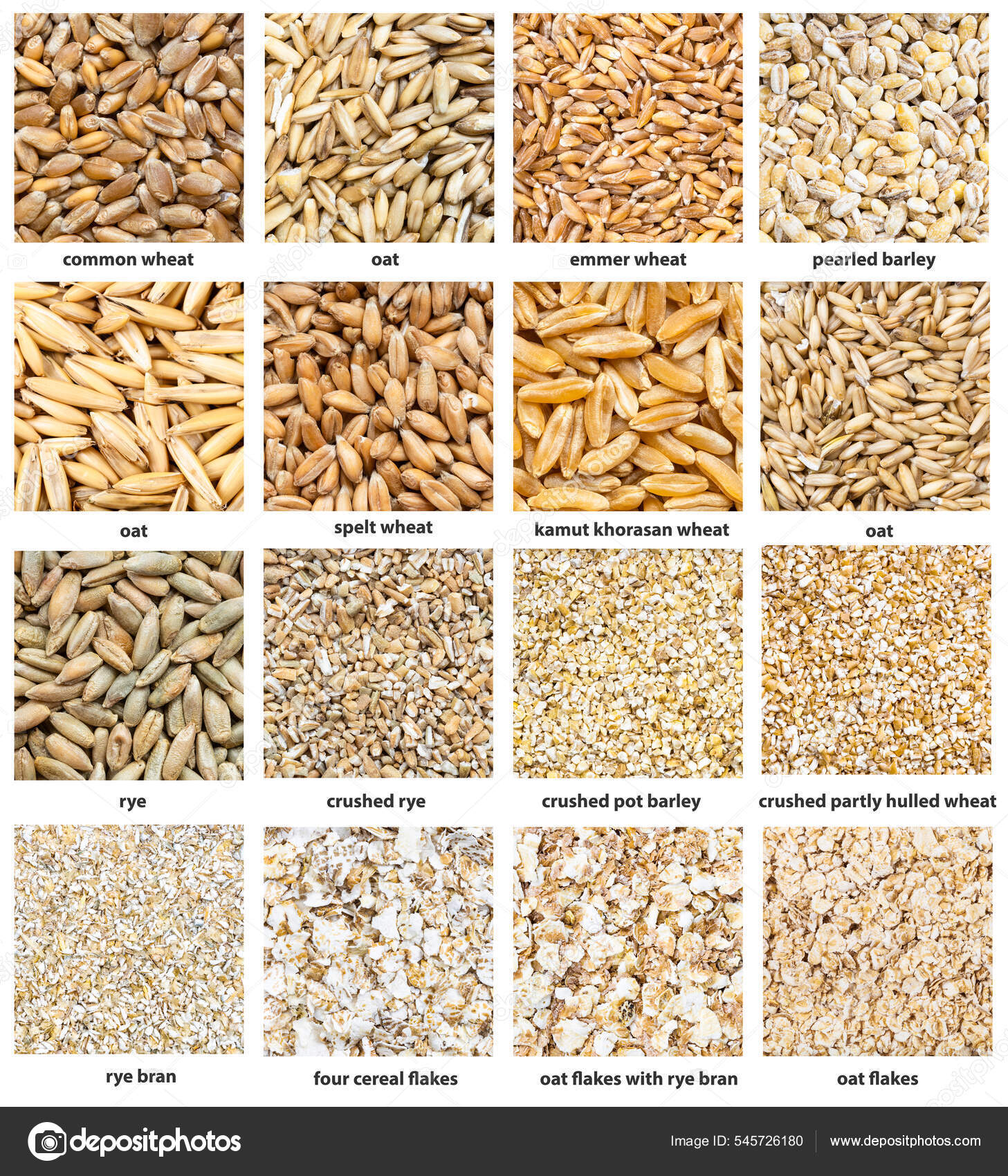 一组正方形食物背景各种谷物与名称相近——图库图片© vvoennyy #545726180