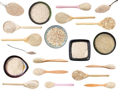 Beyaz arkaplanda izole edilmiş çeşitli brans kümeleri