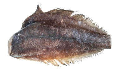Donmuş başsız halibut balığı beyaz arka planda izole edilmiş.