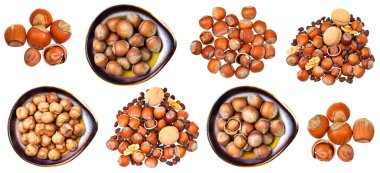 Beyaz arka planda izole edilmiş çeşitli fındıklar.