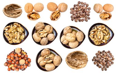 Beyaz arka planda izole edilmiş çeşitli cevizler.