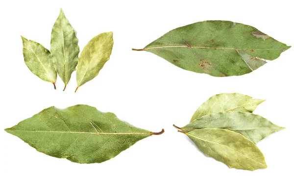 Sada Různých Sušených Zelených Bobkových Listů Izolovaných Bílém Pozadí — Stock fotografie