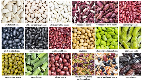 Set Square Food Background Various Beans Names Close — Stock Photo, Image