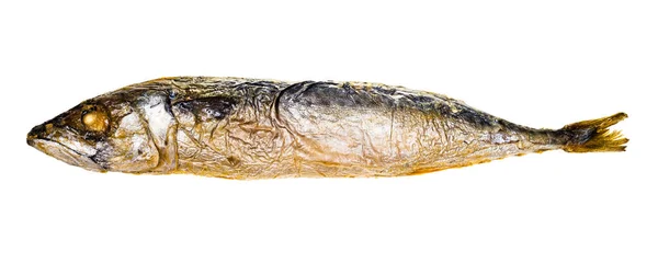 Baked Whole Mackerel Isolated White Background — Stock Photo, Image