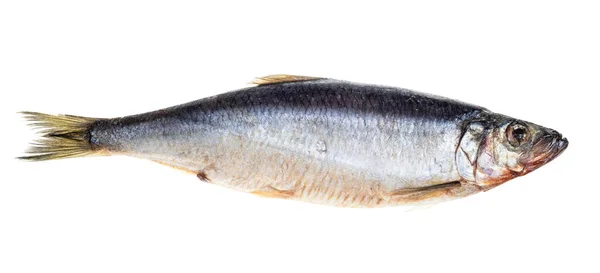 Ikan Haring Beku Diisolasi Pada Latar Belakang Putih — Stok Foto