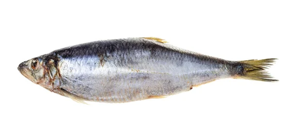 Pescado Congelado Arenque Entero Pacífico Aislado Sobre Fondo Blanco —  Fotos de Stock