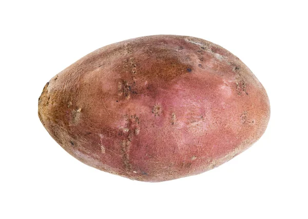 Whole Tuber Sweet Potato Isolated White Background — Stock Photo, Image
