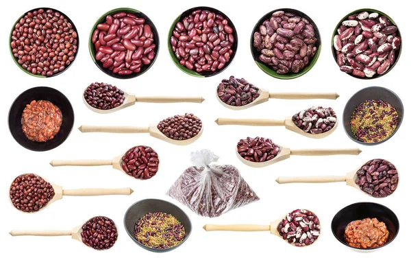 Set Various Red Beans Isolated White Background — Stock Photo, Image