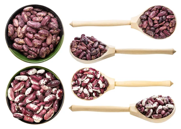 白い背景に隔離された様々な赤い斑点のある豆のセット — ストック写真