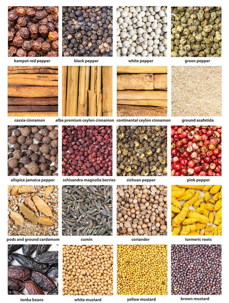 Set Quadratischer Lebensmittel Hintergrund Verschiedene Gewürze Mit Namen Nahaufnahme — Stockfoto