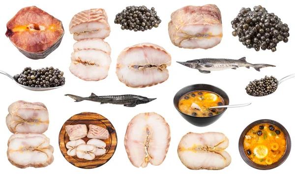 Conjunto Diversos Alimentos Cocidos Crudos Esturión Peces Aislados Sobre Fondo — Foto de Stock