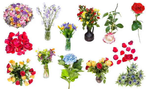 Σύνολο Διαφόρων Λουλουδιών Βάζα Και Singles Που Απομονώνονται Λευκό Φόντο — Φωτογραφία Αρχείου
