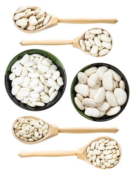 Set Various White Beans Isolated White Background — Stock Photo, Image