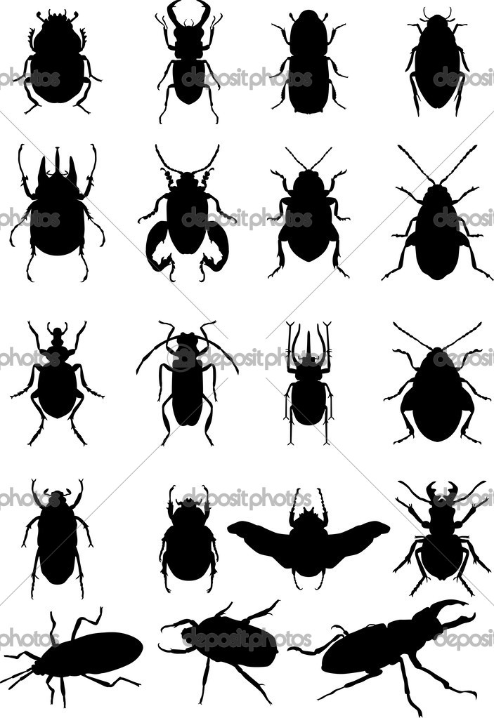 Bugs silhouette
