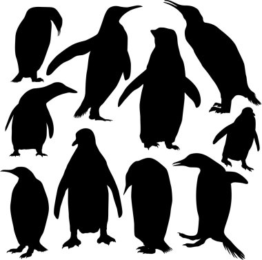 Penguenler siluet vektör