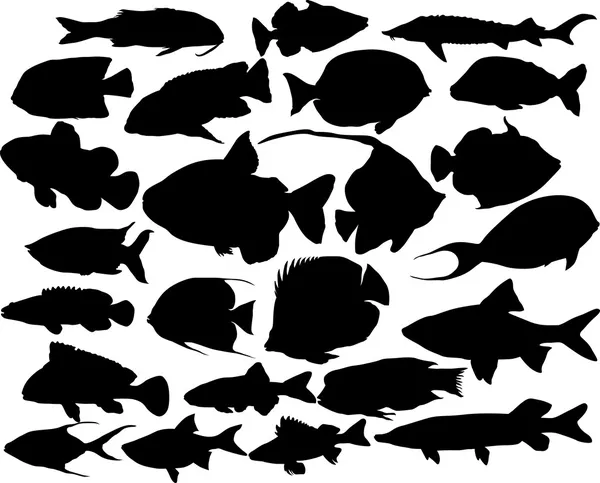 Vector fish silhouettes — Stock Vector