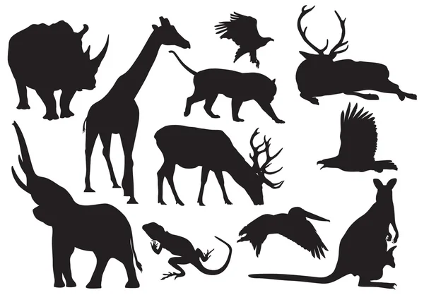 Animals silhouettes — Stock Vector