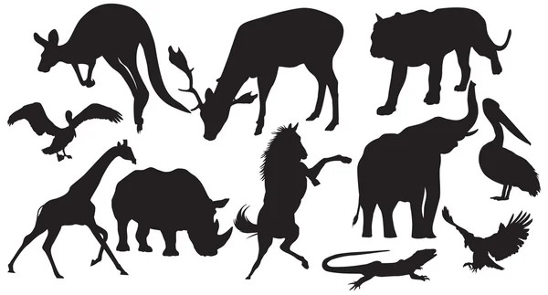 Vector animals silhouette — Stock Vector