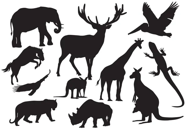 Vector set van dieren silhouet — Stockvector