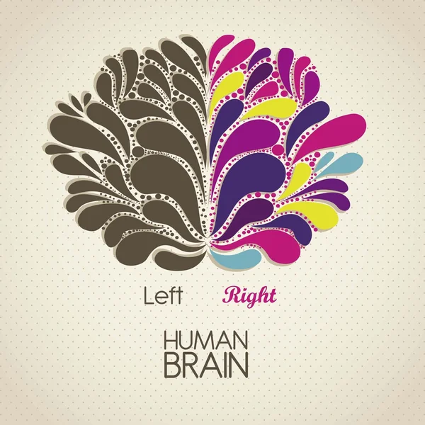 인간의 뇌 — 스톡 벡터