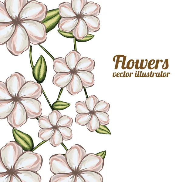 Flores — Vector de stock