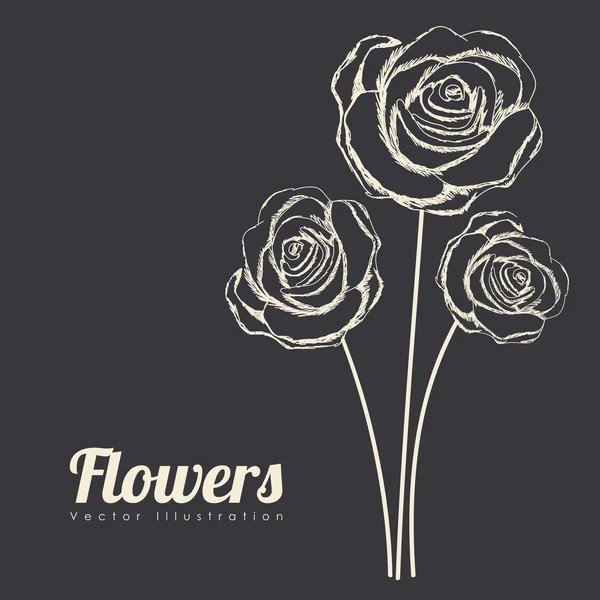 Σχέδιο τριαντάφυλλα — Διανυσματικό Αρχείο