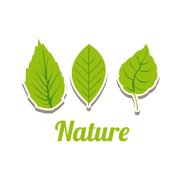 Diseño de naturaleza — Vector de stock