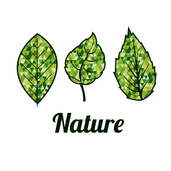 Diseño de naturaleza — Vector de stock