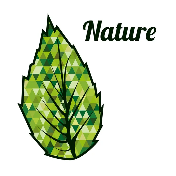 Diseño de naturaleza — Vector de stock