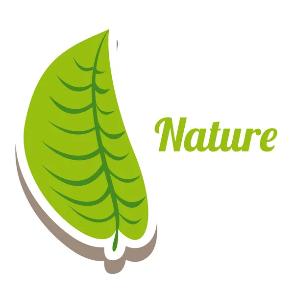 Design della natura — Vettoriale Stock