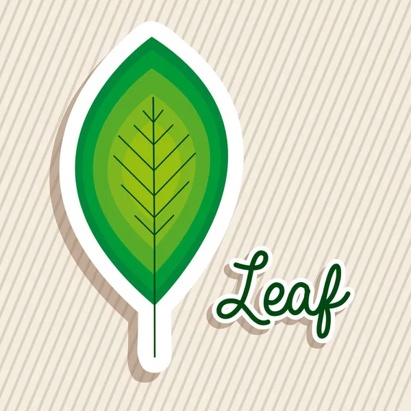 Diseño de hojas — Vector de stock