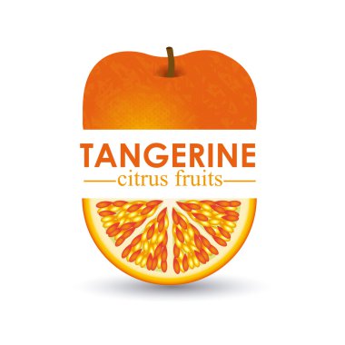 mandalina turunçgilleri