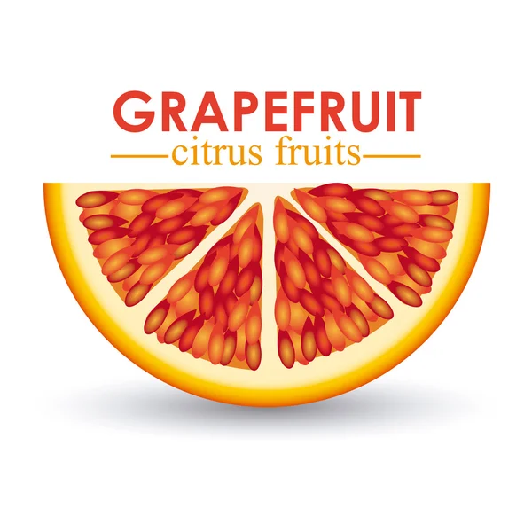 Grapefruitové citrusové plody — Stockový vektor