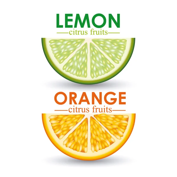 Fruitcitrus — Stockvector