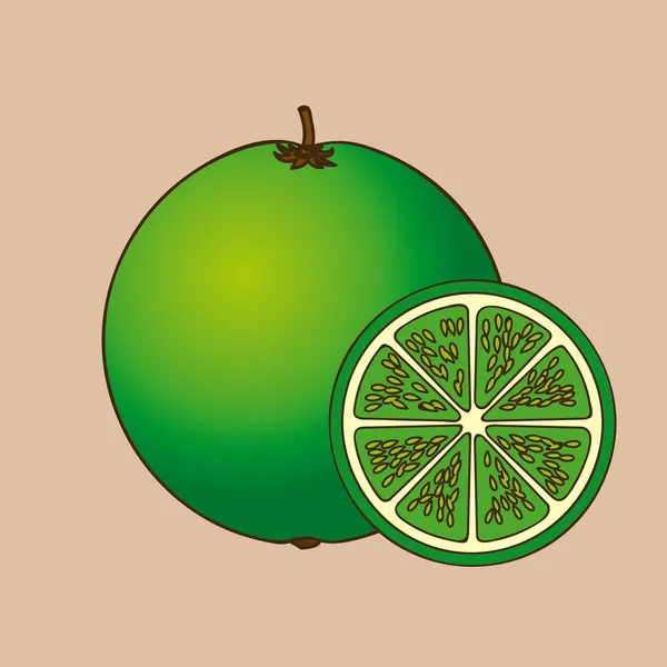 Design citron — Image vectorielle