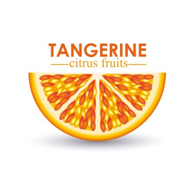 mandalina turunçgilleri