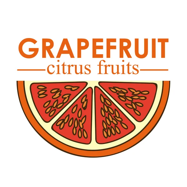 Grejpfruty owoce cytrusowe — Wektor stockowy