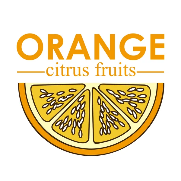 Orangen Zitrusfrüchte — Stockvektor