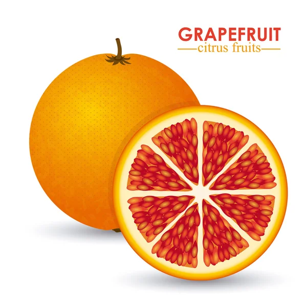 Grapefruit citrusvruchten — Stockvector