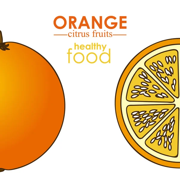 Owoce cytrusowe pomarańczowe — Wektor stockowy
