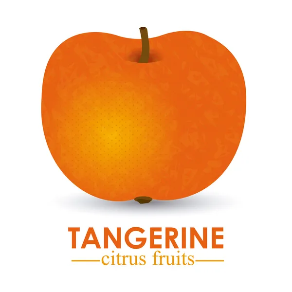 Mandarine agrumes — Image vectorielle