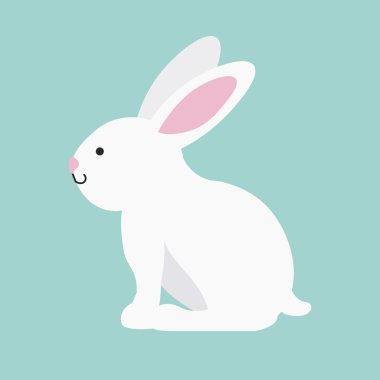 Evcil hayvan tasarımı