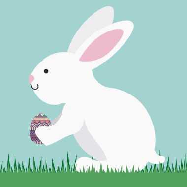 Evcil hayvan tasarımı