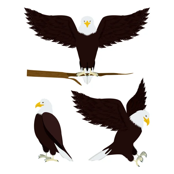 Diseño de águila — Vector de stock