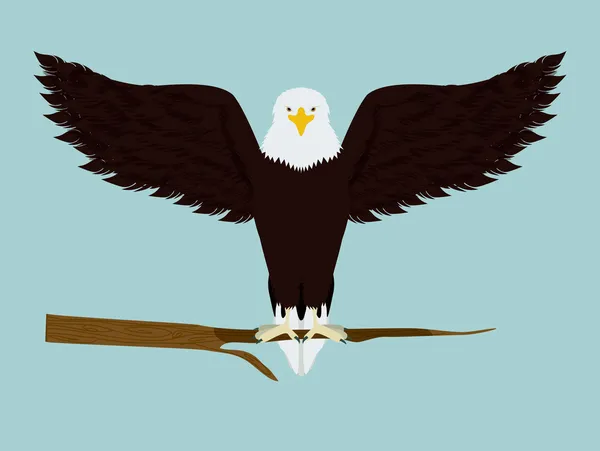 Conception d'aigle — Image vectorielle