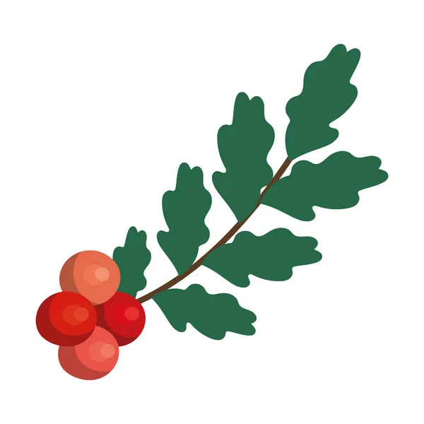 Cute mistletoe design — Stock Vector