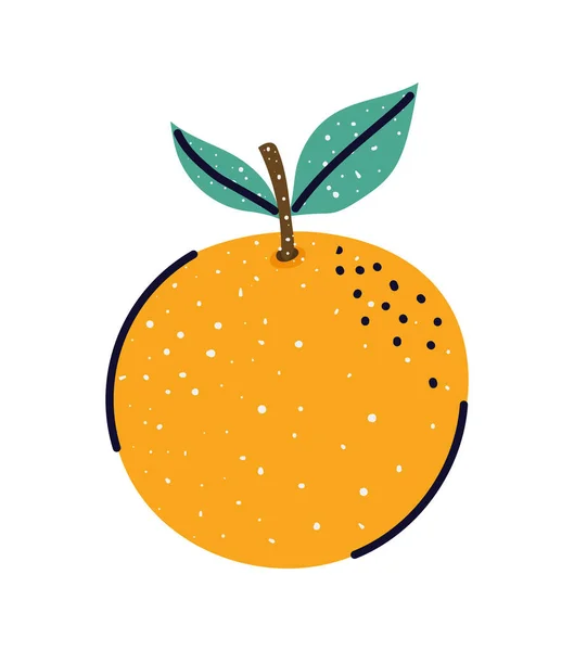 Beau design de mandarine — Image vectorielle