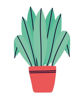 güzel bitki tasarımı