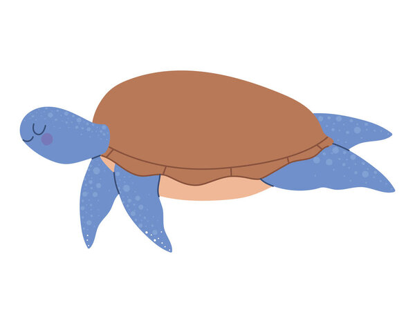 красивая голубая черепаха